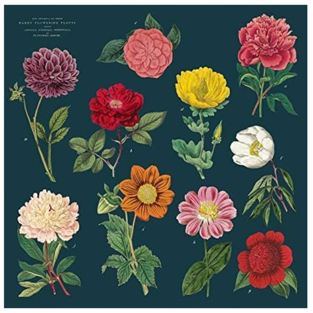 Cavallini & co vintage napkin set (4)